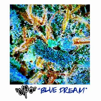 Blue Dream by Cipo