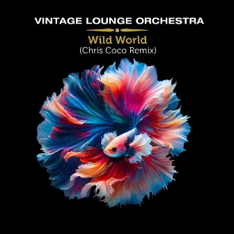 Wild World (Chris Coco Remix) by Vintage Lounge Orchestra