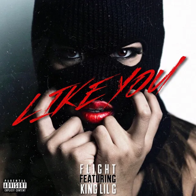 Like You (feat. King Lil G)