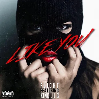 Like You (feat. King Lil G) by Flight