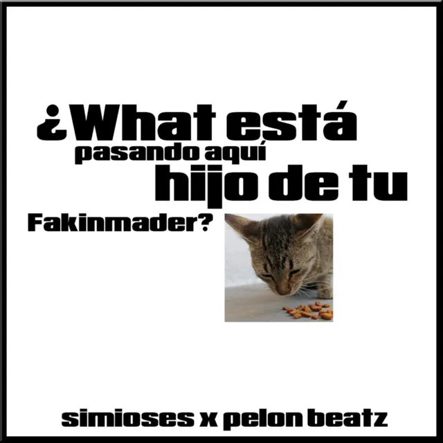 ¿What está pasando aqui hijo de tu fakinmader?