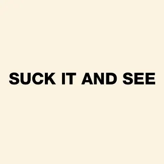 Suck It and See by Arctic Monkeys