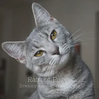 Rain of Peace: Dreamy Ambience for Cats by Jazz Morning Playlist