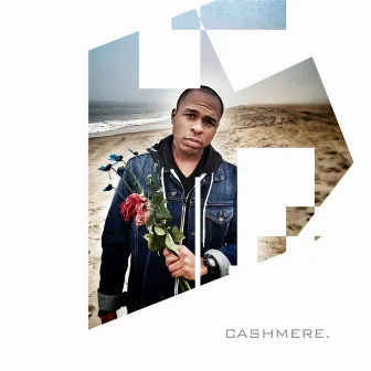 All This Love by Cashmere