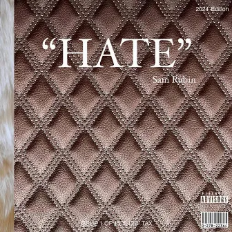 Hate by Sam Rubin