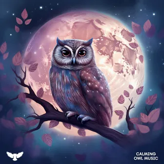 Galactic Lullabies by Ambient Owl Music