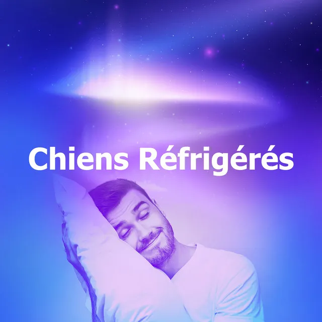 Chiens Réfrigérés