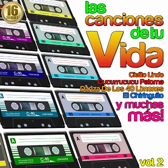 Grandes Temas de Ayer y Hoy Vol.2 by Las Canciones De Tu Vida