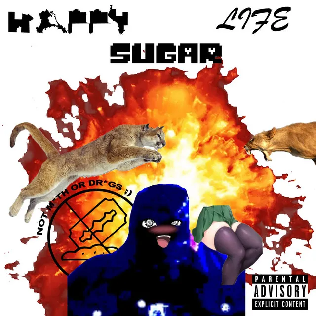 Sugar Happy Life