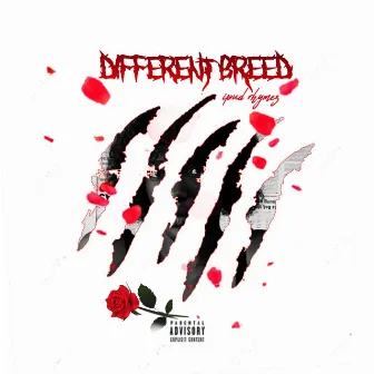 Different Breed by Ipud Rhymez