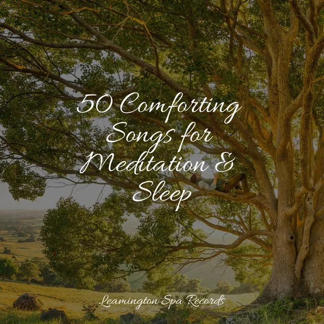 Music for Meditation and Relaxation