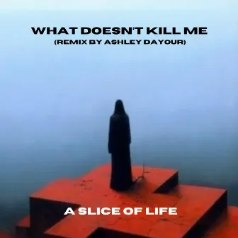 What Doesn't Kill Me (Ashley Dayour Remix) by Ashley Dayour