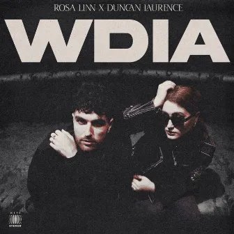 WDIA (Would Do It Again) by Rosa Linn