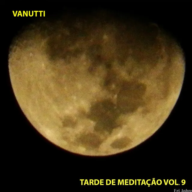 Tarde de Meditação, Vol. 9 (Instrumental)