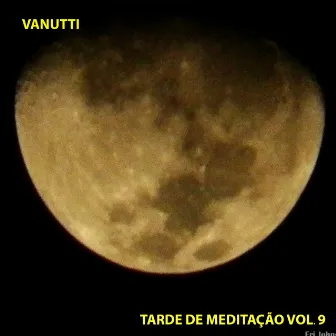 Tarde de Meditação, Vol. 9 (Instrumental) by Vanutti