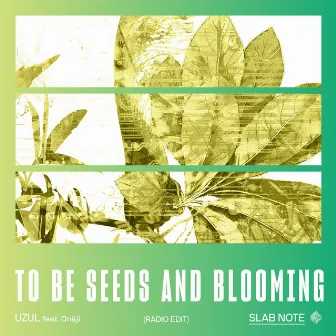 TO BE SEEDS AND BLOOMING (Radio Edit) by Uzul