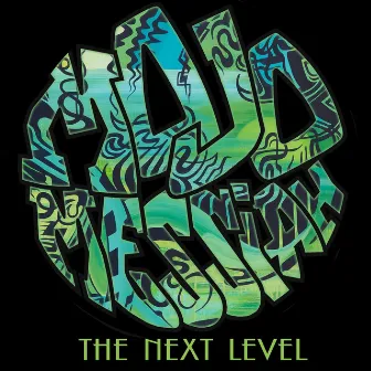 THE NEXT LEVEL by Mojo Messiah