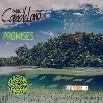 Promises by Pablo Candelaria