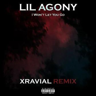 I Won’t Let You Go (Xravial Remix) by Xravial Production