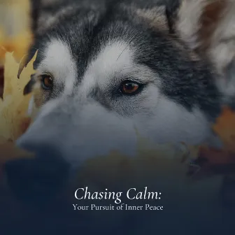 Chasing Calm: Your Pursuit of Inner Peace by Sounds Dogs Love