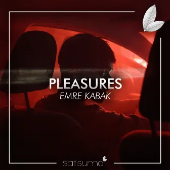 Pleasures (Instrumental) by Emre Kabak