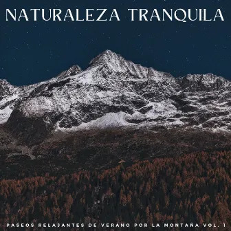 Naturaleza Tranquila: Paseos Relajantes De Verano Por La Montaña Vol. 1 by Inicio de la primavera