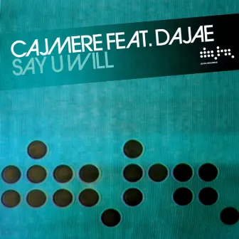 Say You Will (Remixes) (feat. Dajae) by Cajmere