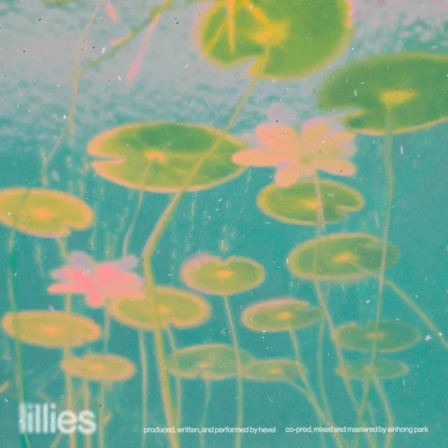 lillies