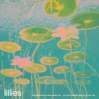 lillies by hevel