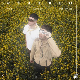 Stalkeo by matt