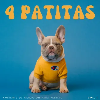 4 Patitas: Ambiente De Sanación Para Perros Vol. 1 by Música Para Dormir A Los Perros