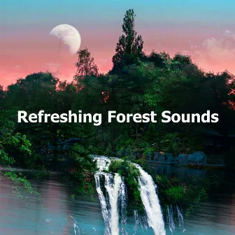 Refreshing Forest Sounds by Peaceful Nature Music