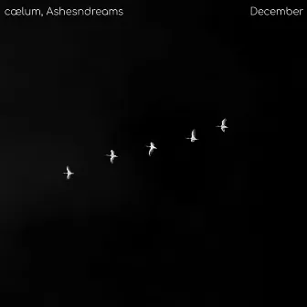 December by cælum