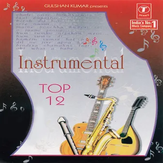 Instrumental Top.12 by Manohari Singh