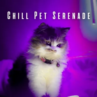 Chill Pet Serenade: Lofi Melodies for Stress-Free Days by Music For Pets