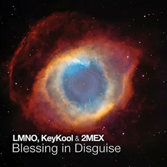 Blessing In Disguise by LMNO