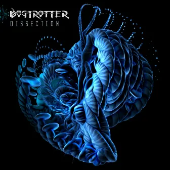 Dissection by Bogtrotter