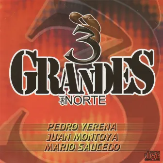 3 Grandes del Norte by Juan Montoya