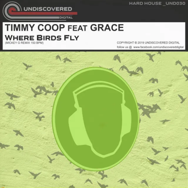 Where Birds Fly - Mickey G Remix