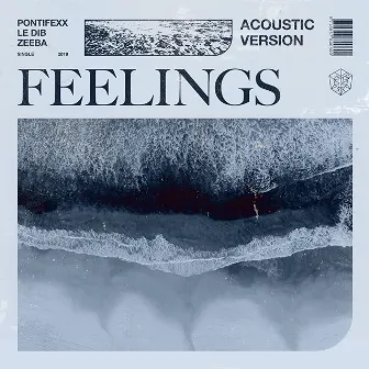 Feelings (Acoustic Version) by Le Dib