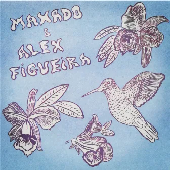 Quando Será by Maxado