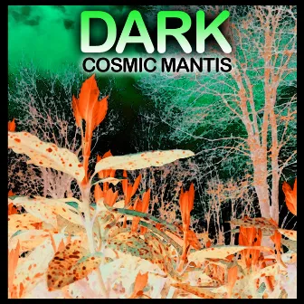 Dark by Cosmic Mantis