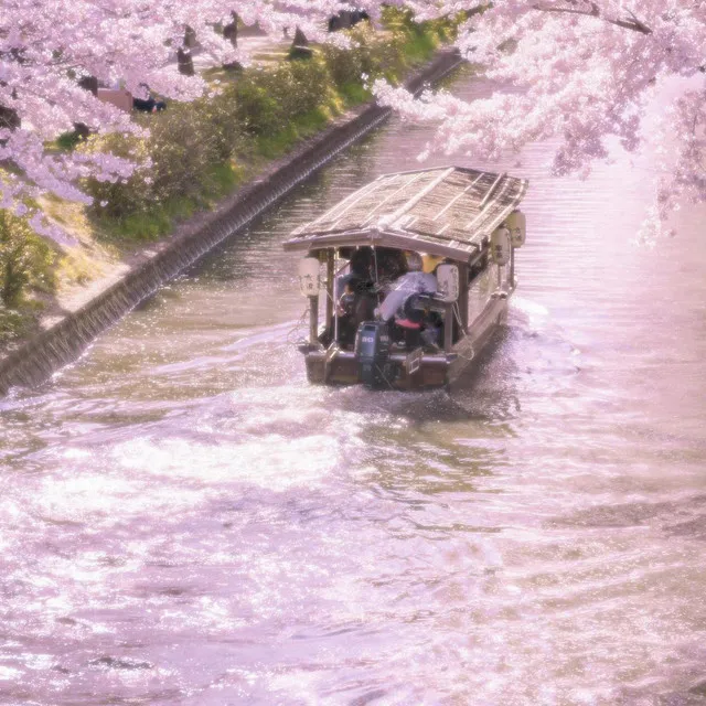 Kyoto