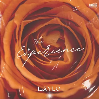 THE EXPERIENCE by LayLo