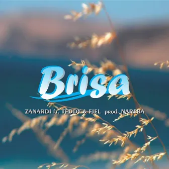 Brisa by Zanardi