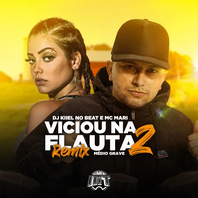 Viciou na Flauta 2 - Médio Grave - Remix