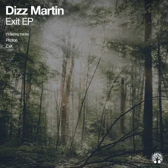 Exit by Dizz Martin