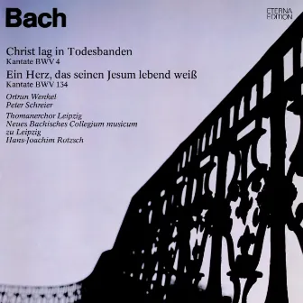 Bach: Christ lag in Todes Banden / Ein Herz, das seinen Jesum lebend weiß by New Bach Collegium Musicum Leipzig