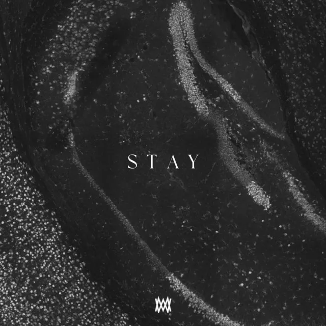 Stay