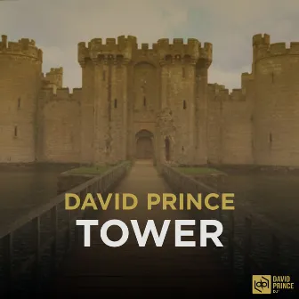 Tower (Radio Mix) by David Prince DJ